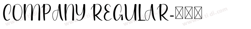 COMPANY REGULAR字体转换
